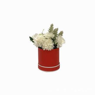 Set 6 cutii S6.3 rosu