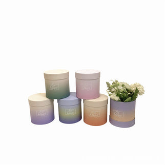 Set 6 cutii flori S6.8 rainbow