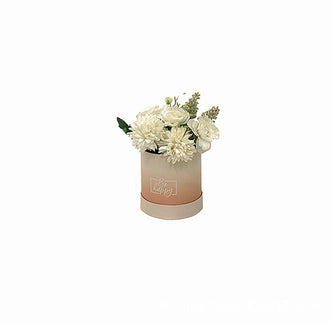 Set 6 cutii flori S6.8 porto