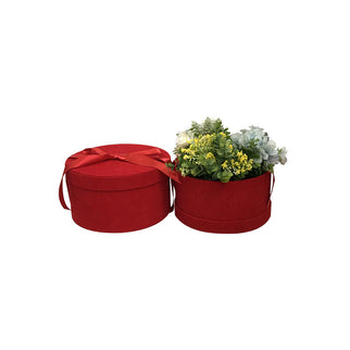 Cutie flori s2.36 catifea rosu