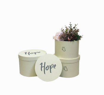 Set 3 cutii flori S3.146 alb