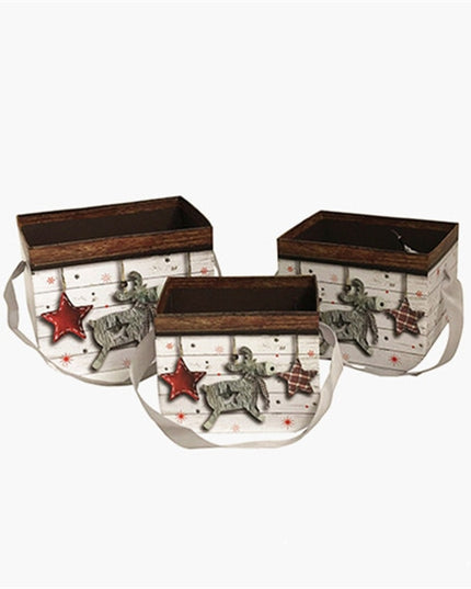 Set 3 cutii flori S3.46 print