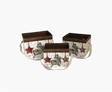 Set 3 cutii flori S3.46 print