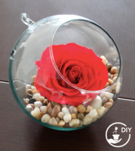 Trandafir criogenat Ø5.5-6cm rosu