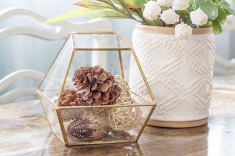 TERARIU STICLA NO. 8 (15x14x16cm)