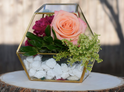 TERARIU STICLA NO. 8 (15x14x16cm)