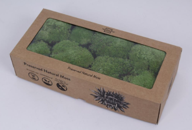 Muschi conservat ballmoss