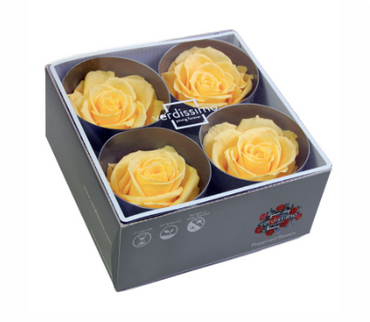 Trandafir criogenat Ø7-8cm galben aprins