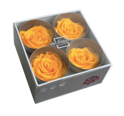 Trandafir criogenat Ø7-8cm galben cald