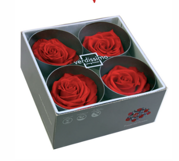 Trandafir criogenat Ø7-8cm rosu