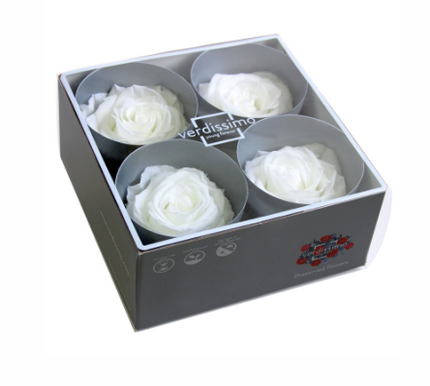 Trandafir criogenat Ø7-8cm alb