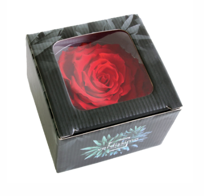Trandafir criogenat Ø9-10cm rosu