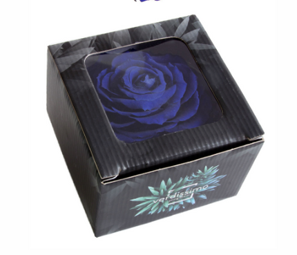 Trandafir criogenat Ø9-10cm indie purple