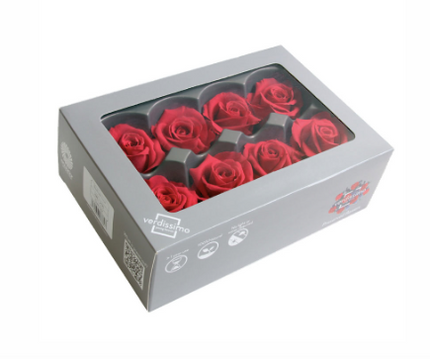 Trandafir criogenat Ø4cm roz inchis S/8