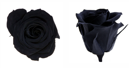 Trandafir criogenat Ø4cm negru