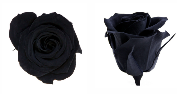 Trandafir criogenat Ø4cm negru