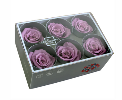 Trandafir criogenat Ø5.5-6cm lila