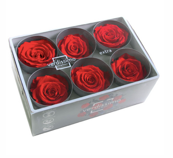 Trandafir criogenat Ø5.5-6cm rosu