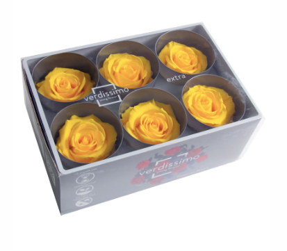 Trandafir criogenat Ø5.5-6cm galben aprins