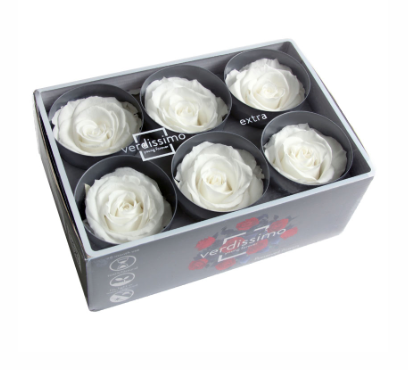 Trandafir criogenat Ø5.5-6cm alb