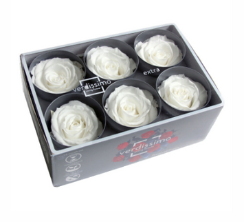 Trandafir criogenat Ø5.5-6cm alb