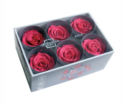 Trandafir criogenat Ø5.5-6cm roz inchis