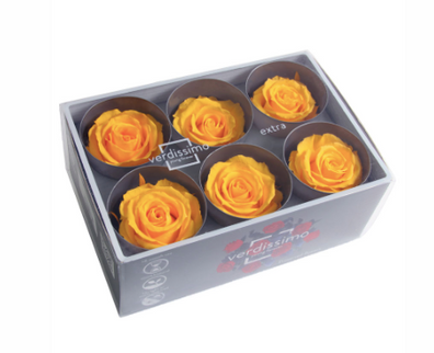 Trandafir criogenat Ø5.5-6cm galben cald