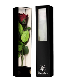 Trandafir criogenat tija 30cm Roseamor Ø4.5cm champagne