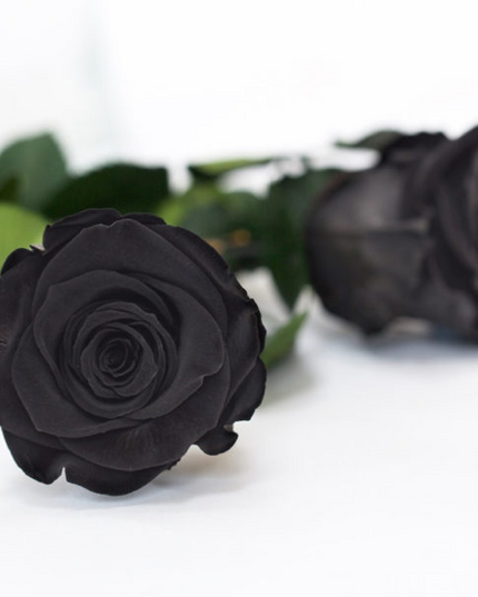 Trandafir criogenat tija 30cm Ø4.5cm negru