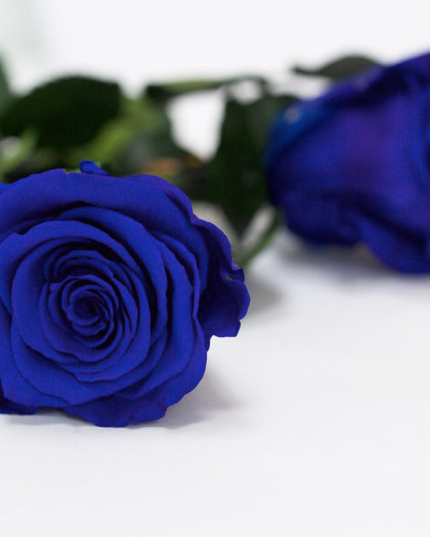 Trandafir criogenat tija 30cm Roseamor Ø4.5cm albastru 03
