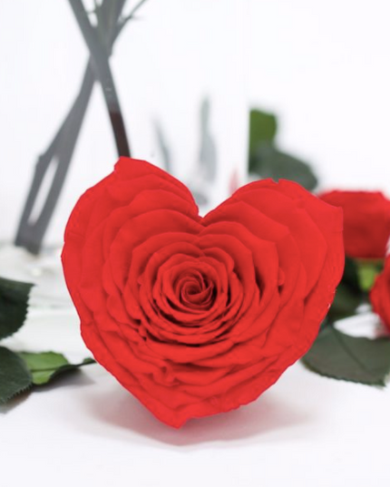 Trandafir criogenat Ø9.5cm inima rosu