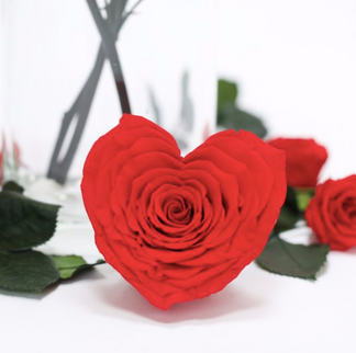 Trandafir criogenat Ø9.5cm inima rosu