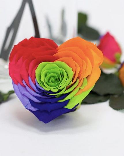 Trandafir criogenat Ø9.5cm inima rainbow