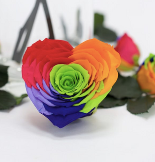 Trandafir criogenat Ø9.5cm inima rainbow