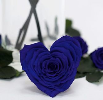 Trandafir criogenat Ø9.5cm inima albastru inchis
