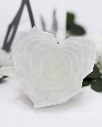 Trandafir criogenat Ø9.5cm inima alb