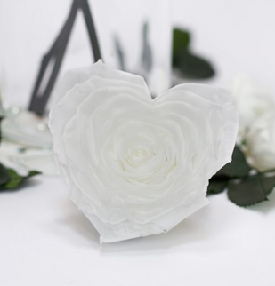 Trandafir criogenat Ø9.5cm inima alb
