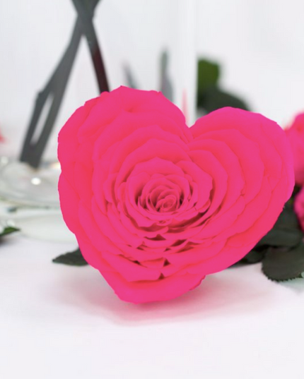 Trandafir criogenat Ø9.5cm inima roz inchis