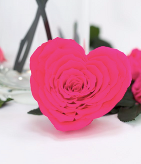 Trandafir criogenat Ø9.5cm inima roz inchis