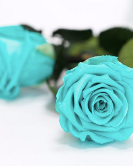 Trandafir criogenat tija 30cm Roseamor Ø4.5cm albastru 02