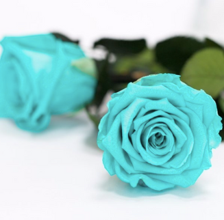 Trandafir criogenat tija 30cm Roseamor Ø4.5cm albastru 02