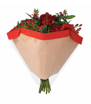 Sleeve 27x44½x11cm rosu