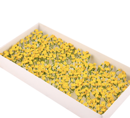 Gypso sapun S/50 galben