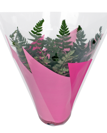 Sleeve 27x27x11cm ghivece flori S/50 roz