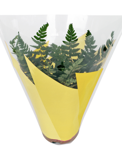 Sleeve 27x27x11cm ghivece flori S/50 galben