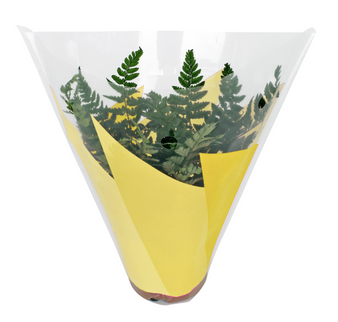 Sleeve 27x27x11cm ghivece flori S/50 galben