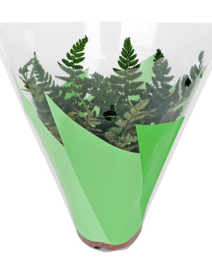 Sleeve 27x27x11cm ghivece flori S/50 verde