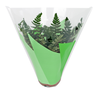 Sleeve 27x27x11cm ghivece flori S/50 verde