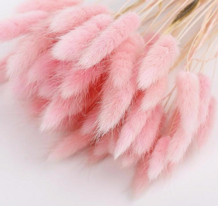 Lagurus S/60 roz pal