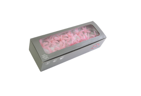 Tuberoze criogenate S/12 roz